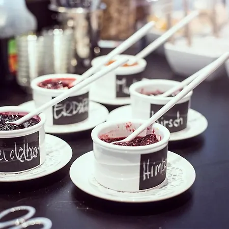 Basic Downtown Innsbruck