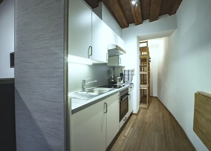 Basic Downtown Appartement